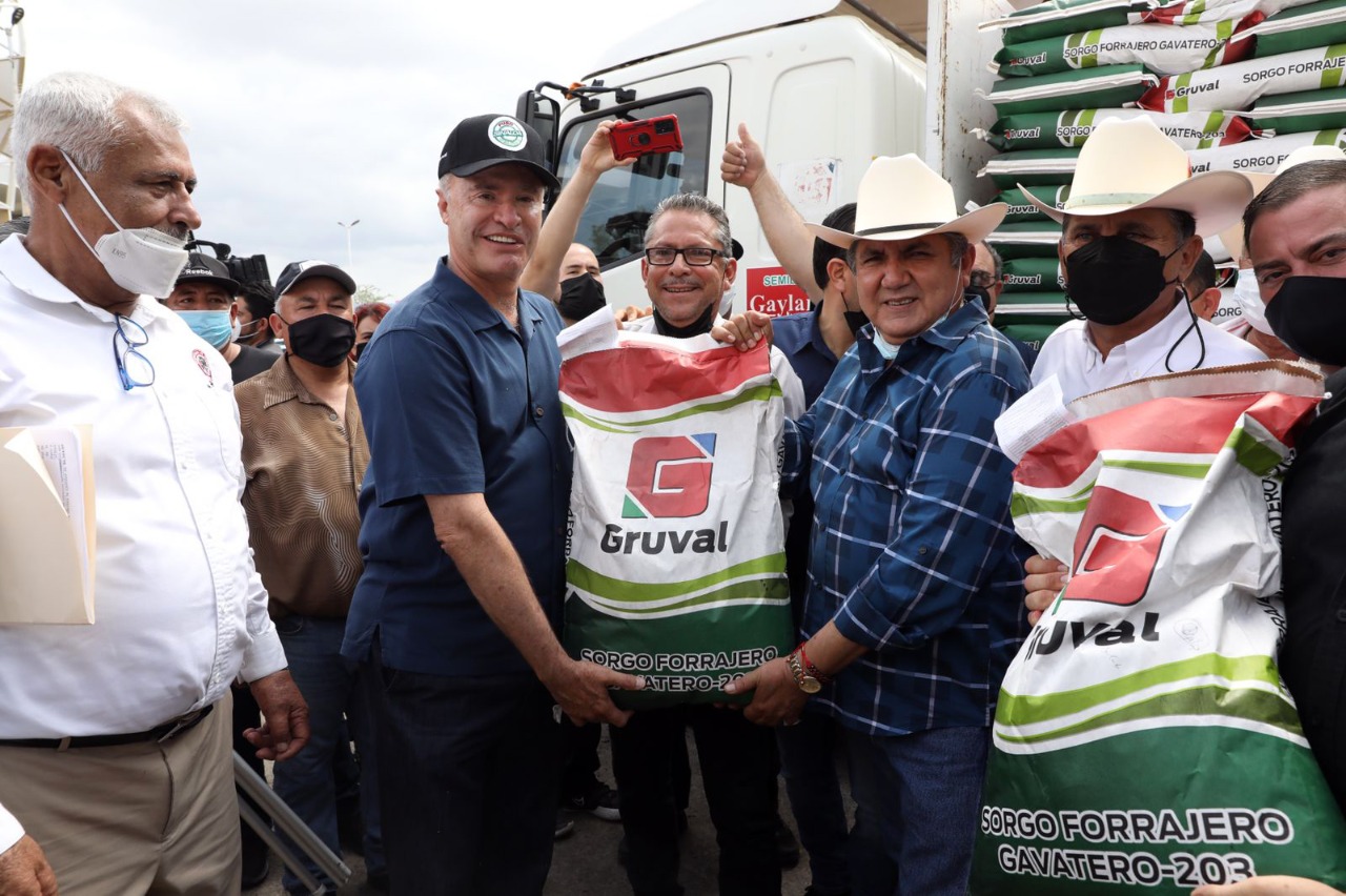 Productores temporaleros y ganaderos de Sinaloa son beneficiados con semilla de sorgo