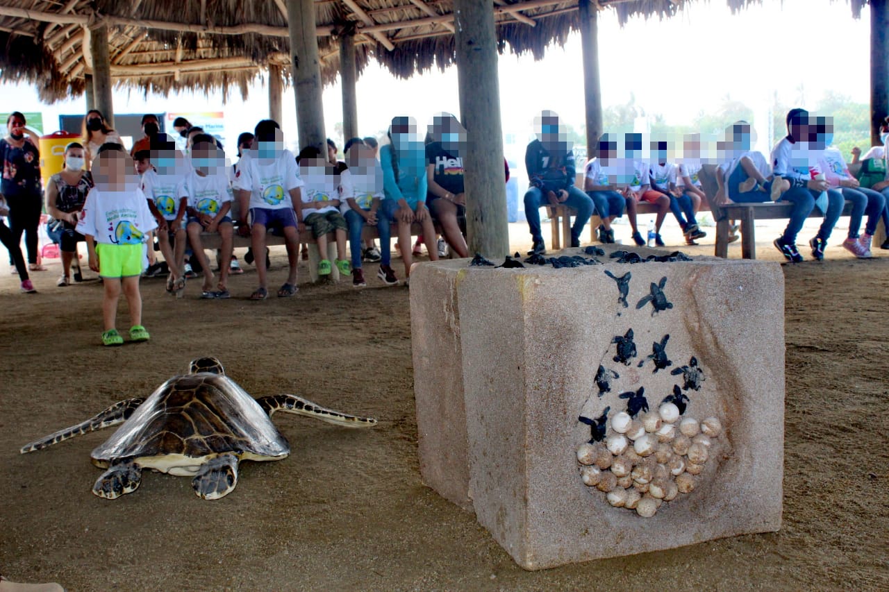Sedesu y Fundación Coppel fortalecen trabajo de la Red Tortuguera de Sinaloa