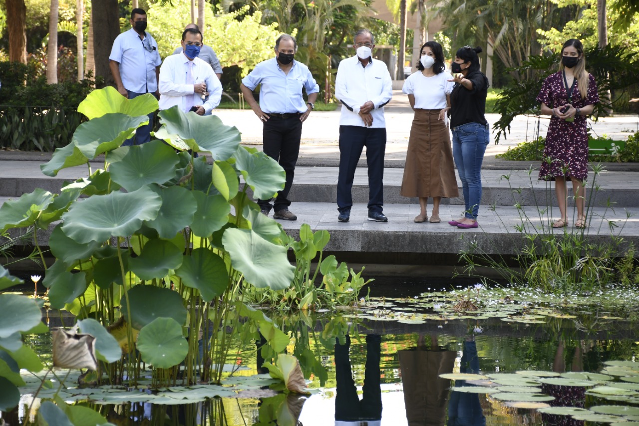 Visita alcalde la nueva colección de plantas acuáticas del Jardín Botánico de Culiacán