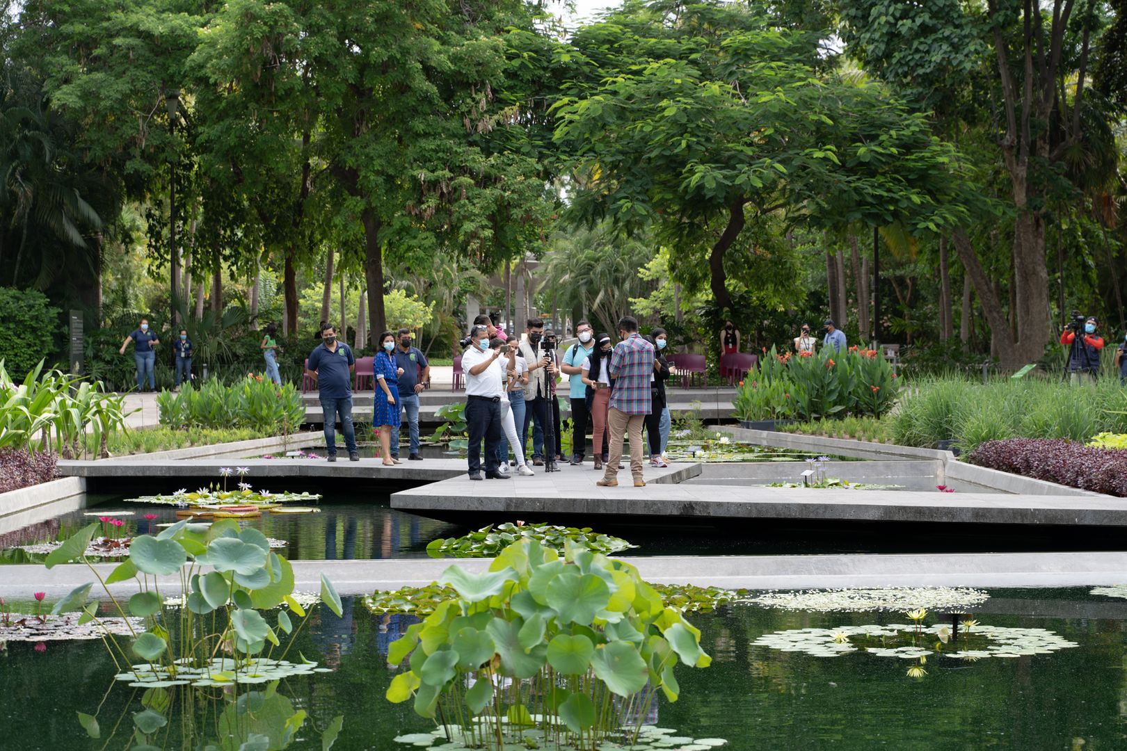 Renueva Jardín Botánico Culiacán su colección acuática
