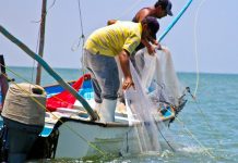 Anuncia Rocha la entrega del Bienpesca estatal para este jueves