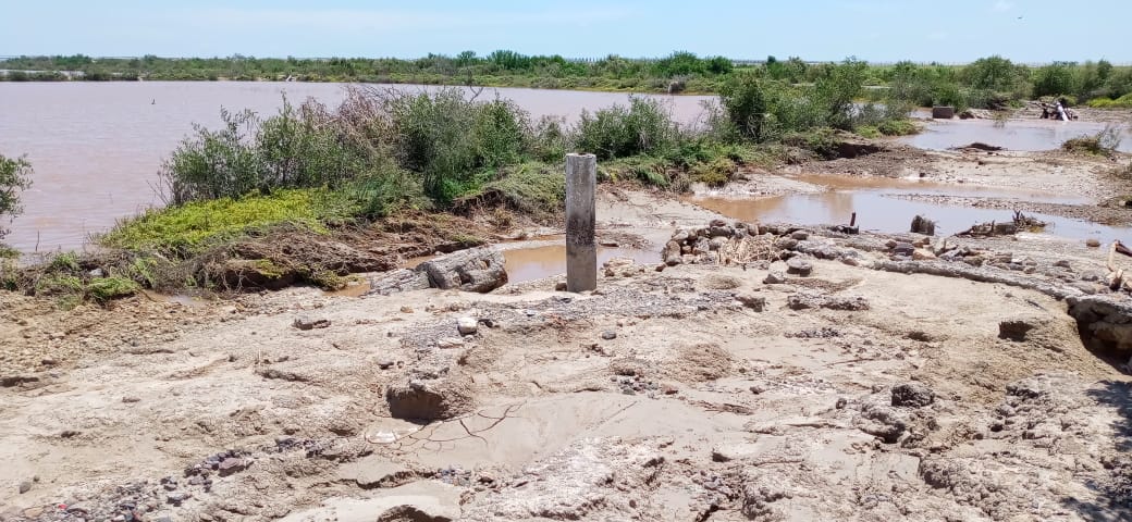 Buscan mecanismos para reactivar la acuacultura en Elota tras el paso de “Nora”