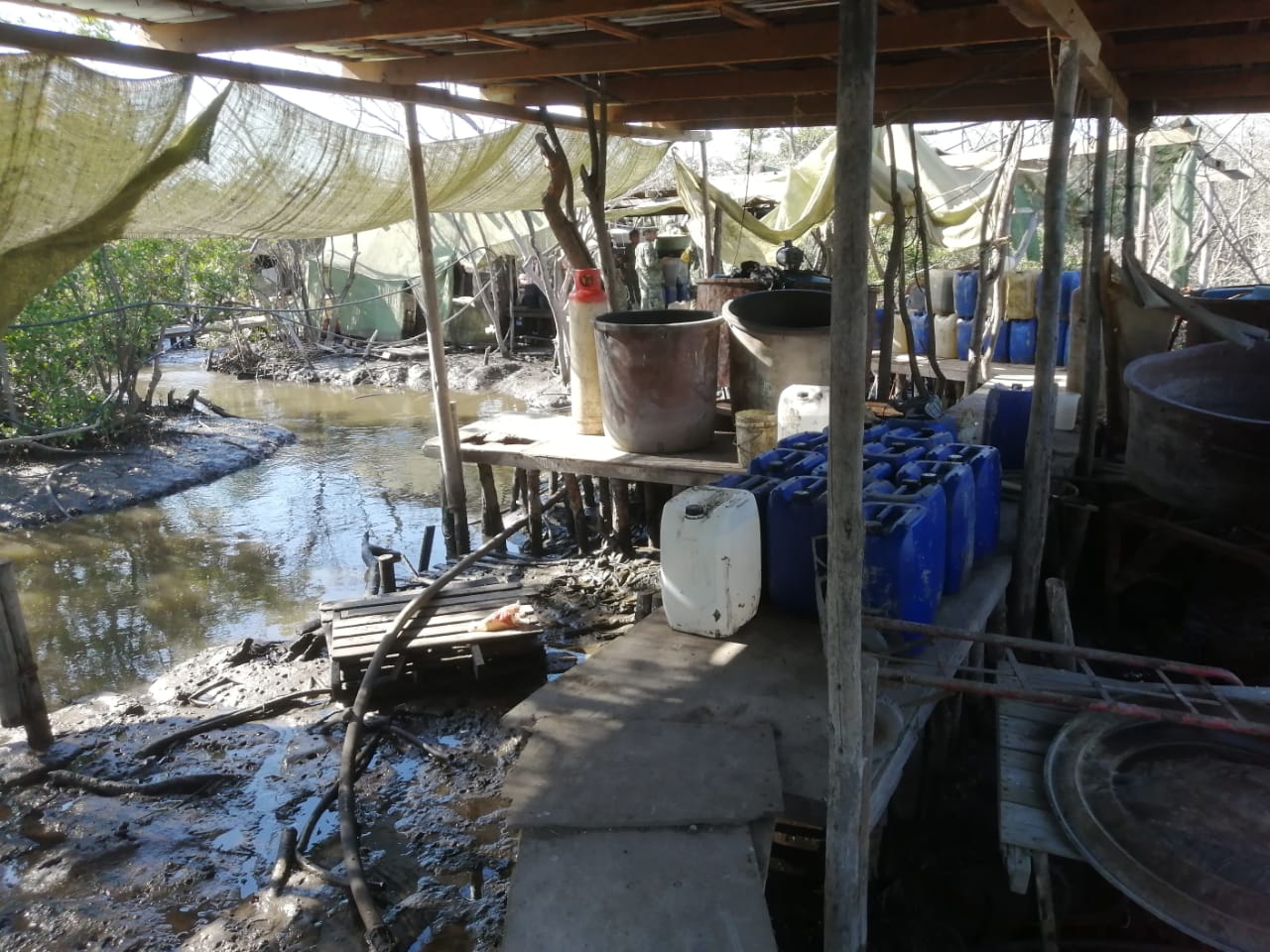 Sedena y Policía Estatal asegura presunto laboratorio en un manglar en Navolato