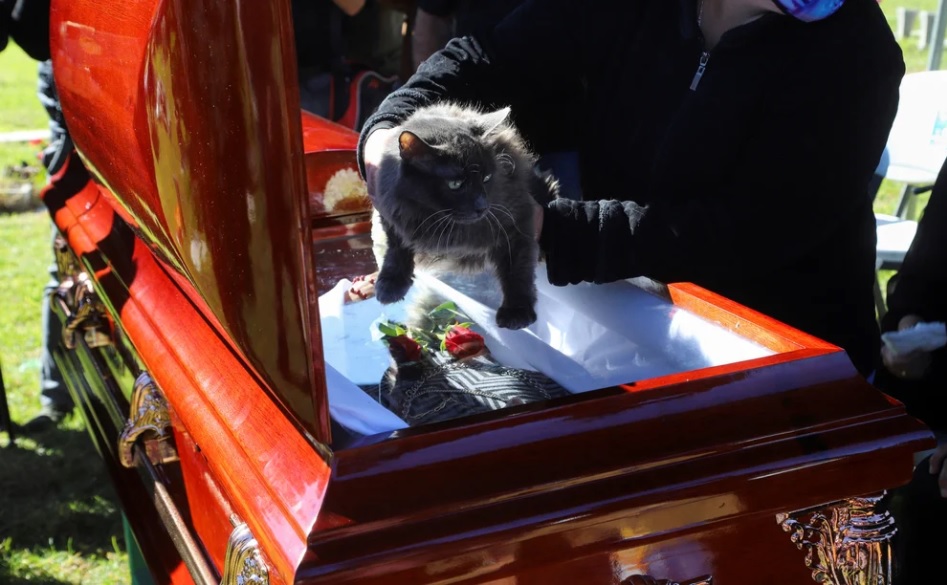 Con presencia de sus mascotas y familiares, así sepultaron a la periodista Lourdes Maldonado