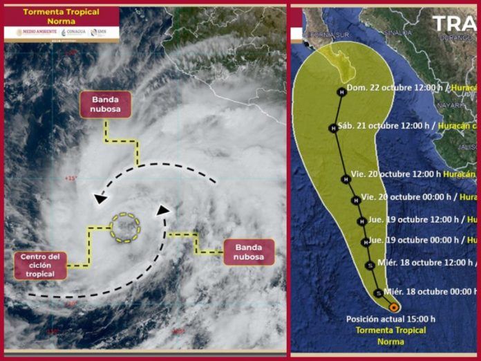 EN VIVO Se forma la tormenta tropical 'Norma', revisa aquí qué estados