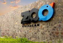 Se divierten niñas y niños con actividades recreativas en el Zoológico de Culiacán