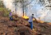 En acción operativos para combatir incendios forestales en Sinaloa