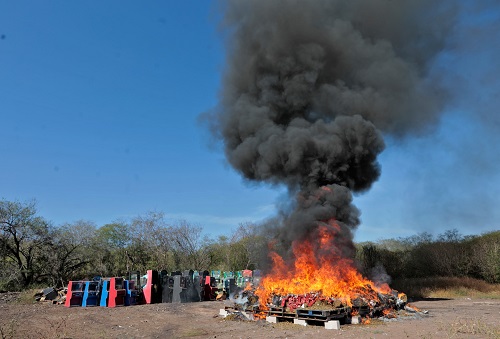 WhatsApp Image 2025-10-29 at 11.59.28 AM