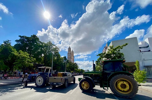 WhatsApp Image 2025-10-31 at 8.22.41 AM