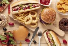 El impacto de la comida chatarra: Estudio revela cómo altera la memoria en 4 días