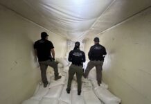 Aseguran 320 kilos de metanfetamina ocultos en un tractocamión en Los Mochis