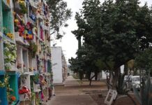 Joven pasa 4 días escondida en panteón por amenazas; a su familia le dijeron que estaba secuestrada