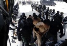 EU entregó a México a 14 sentenciados por delitos de drogas y armas