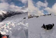 Esquiadora provoca aterradora avalancha y queda atrapada con su perrito