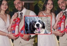 Pareja de novios pide croquetas para perritos en lugar de regalos y donarlas a una fundación