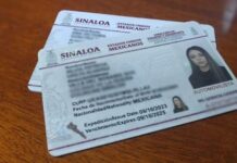 Licencia permanente: ventajas, riesgos y lo que quedó fuera