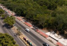Avanza arborización del malecón nuevo con plantación de 172 glorias