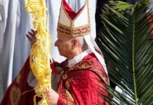 “No se puede utilizar a Dios para justificar la guerra”: el Papa en la Misa del Domingo de Ramos