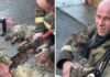 Se niega a rendirse y logra el milagro: bombero salva la vida a un gato tras un incendio (VIDEO)