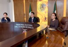 Tribunal corrige a Morena y reabre procedimiento contra Imelda Castro