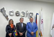 La última trinchera de la transparencia: cuando el poder quiere vigilarse a sí mismo