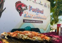 Participan más de 30 equipos en el Cuarto Torneo de Pesca Deportiva Cospita 2026