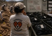 Más de 6 mil desaparecidos: la guerra del narco desborda a Sinaloa y obliga a las madres buscadoras a suplir al Estado