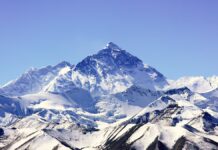 Hallazgo en la cima del Monte Everest: encuentran fósiles marinos de 450 millones