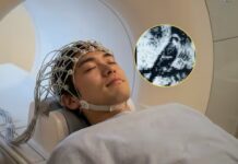 Científicos en Japón logran reconstruir imágenes básicas de los sueños utilizando inteligencia artificial y resonancia magnética en un experimento que abre una ventana inédita al subconsciente pero enciende las alertas globales sobre el futuro de la privacidad mental