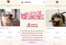 Habilitan plataforma para adoptar a los perros rescatados del Refugio Franciscano; reportan 81 decesos