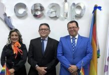 La CEAIP: cuando desaparecer la memoria también es perder el futuro