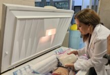 Investigadores de la UAS obtienen patente nacional del IMPI para desarrollo biotecnológico a base de amaranto