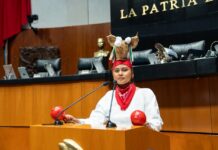Desde Cuesta Alta hasta el Senado: Alexia Anahí comparte el orgullo de la cultura yoreme